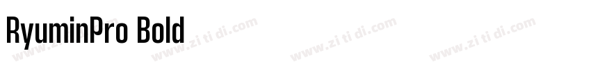 RyuminPro Bold字体转换
